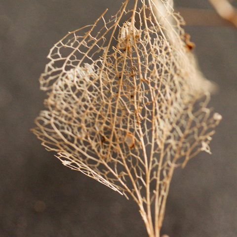 M-N CARON ''Petite danseuse''